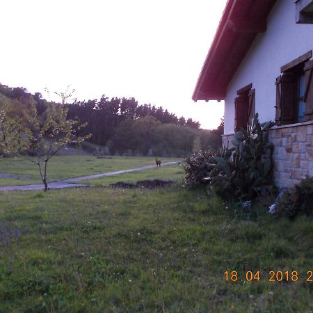 Casa Rural Miamendi Larrabetzu ภายนอก รูปภาพ
