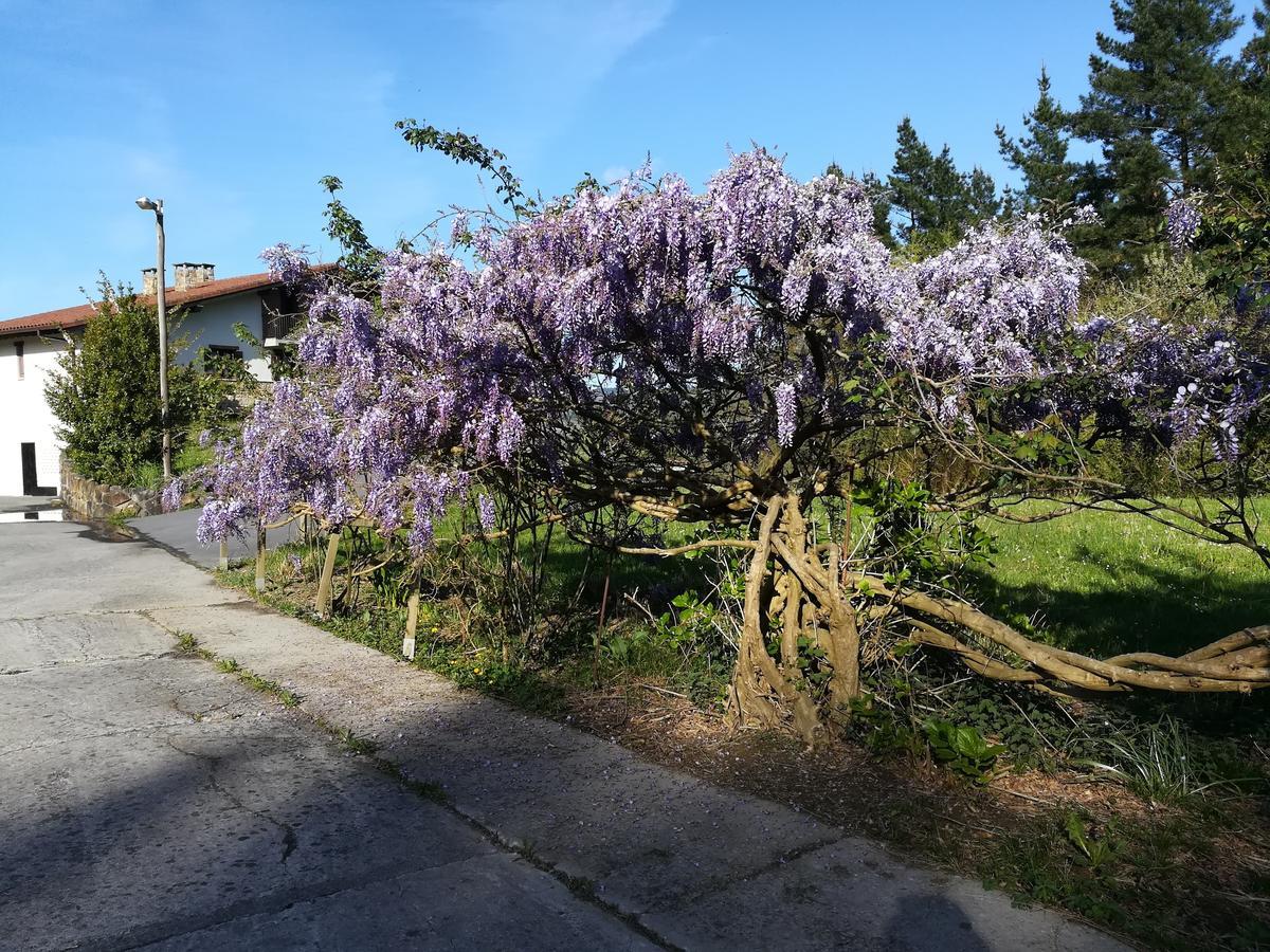 Casa Rural Miamendi Larrabetzu ภายนอก รูปภาพ